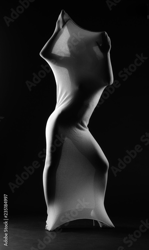 Plakat kobieta w bieliźnie nago strzelanie stojący tancerz zawoalowany