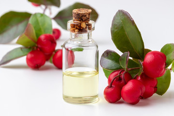 A bottle of wintergreen essential oil with wintergreen berries on a white background