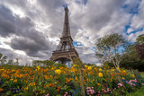 Fototapeta Paryż - Eifel tower clouds and flowers