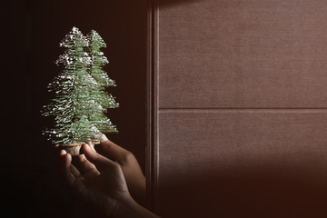 Wall Mural - hand holding mini pine tree , Selective Focus with copy space