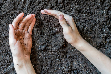 Wall Mural - top view of two dirty farmers hands in the soil ground d