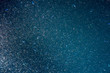krill macro detail at night