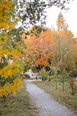 Wall Mural - autumn