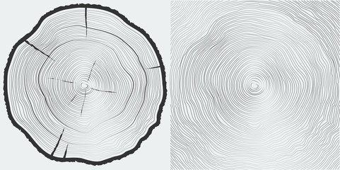 vector sawcut tree trunk and tree-rings background