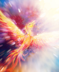 Poster - Flying phoenix bird as symbol of rebirth and new beginning.