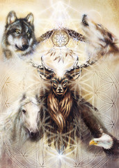 Poster - sacred ornamental deer spirit with dream catcher symbol and feathers and merkaba and flower of life.