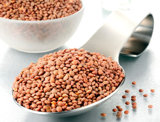 Poster - SPOONFUL OF BROWN LENTILS