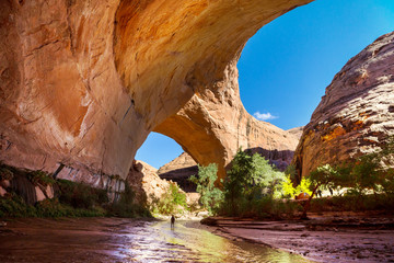 Wall Mural - Coyote Buttes