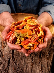 Canvas Print - FARMER HOLDING DRIED RED PEPPERS