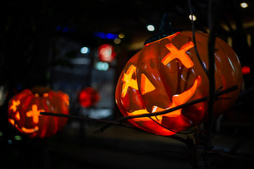 Halloween Pumpkin decorations In the garden  for Halloween.