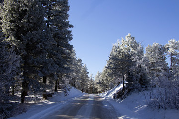 Canvas Print - Rampart Range Road 11/2018