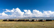 Landschaft am Song Köl See in Kirgistan