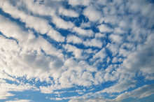 Beautiful White Clouds - Altocumulus - In Blue Sky
