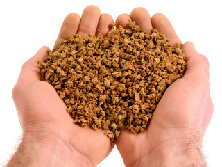 Poster - HANDFUL OF MINCED SOYA