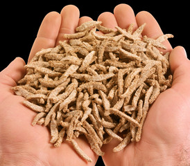 Poster - HANDFUL OF BRAN STICKS