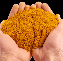 Wall Mural - HANDFUL OF CURRY POWDER