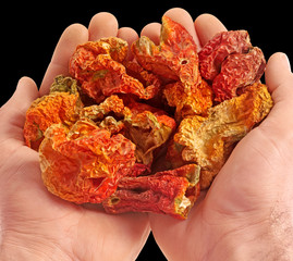 Canvas Print - HANDFUL OF DRIED RED PEPPERS