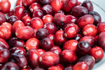 cranberries in a bowl