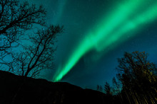 Unbelievable, In Natural Colors Aurora Borealis - The Northern Lights Above Forest ( Tree Line )