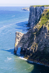 Wall Mural - Vereinigtes Königreich, England, Yorkshire, Bempton Cliffs,