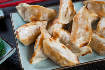 Poster - Close-up of fried japanese gyoza dumplings on a turquoise plate, selective focus