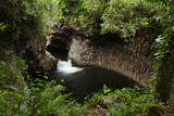 Fototapeta Na ścianę - A waterfall in the forests of Reunion Island