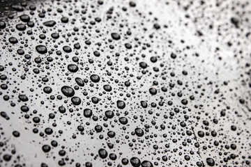 Poster - Water drops on black background