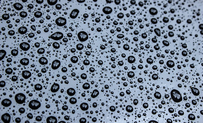 Canvas Print - Water drops on black background