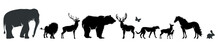 Vector Silhouette Of Wild Animal On White Background.