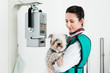 © Kzenon - Female veterinarian carrying sick puppy in x-ray room