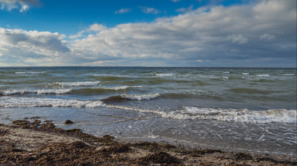 Wall Mural - baltic sea nature coastline autumn landscape scene