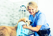 © caftor - mature woman hairdresser wipes puppy of Afghan hound in hairdresser for dogs