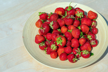 Red ripe strawberries on a wooden plate, bright summer day