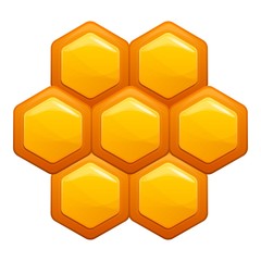 Poster - Honey comb icon. Cartoon of honey comb vector icon for web design isolated on white background