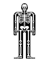 Fototapete - Skeleton pixel art. Skull and Bones anatomy 8 bit. Pixelate Pelvic bone and ribs. Spine and vertebrae. Human bone system 16bit. Old game computer graphics style