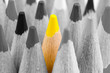 Leader concept. The man of creativity. Yellow pencil on a background of black and white pencils.