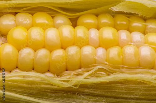 Fotografía Yellow corn pods Carbohydrate gives the body a white backdrop.