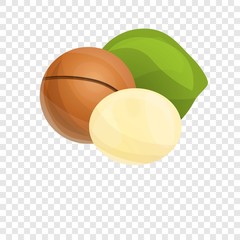 Poster - Macadamia icon. Cartoon of macadamia vector icon for web design  