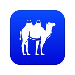 Wall Mural - Camel icon digital blue for any design isolated on white vector illustration