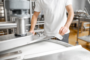 Wall Mural - Worker adding supplements during the milk fermentation process in the stainless tank at the cheese manufacturing. Close-up view with no face