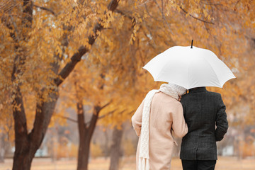 Sticker - Young romantic couple with umbrella in park on autumn day