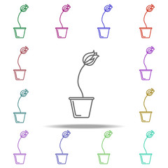 Poster - tulip in pot outline icon. Elements of Flower in multi color style icons. Simple icon for websites, web design, mobile app, info graphics