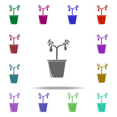 Poster - avocado tree in pot illustration icon. Elements of Fruit in pot in multi color style icons. Simple icon for websites, web design, mobile app, info graphics