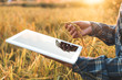 © joyfotoliakid - Smart farming Agricultural technology and organic agriculture Woman using the research tablet and studying the development of rice varieties in rice field