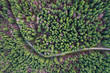 © salajean - Road in evergreem forest, drone view
