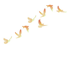 Vector Isolated Flying Flock Of Watercolor Doves