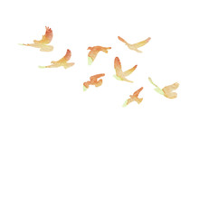  Isolated, A Flock Of Flying Birds, Watercolor Silhouette Of Pigeons