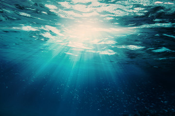 Wall Mural - a background sand on the beach underwater