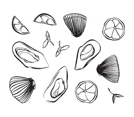 Wall Mural - Hand drawn vector illustration of clam as seafood. Shellfish with lemon and herbs. Black isolated on white background