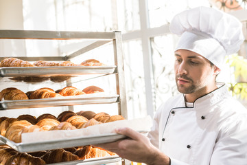 Wall Mural - baker in chefs uniform looking at trays with fresh cooked croissants